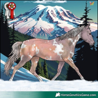 Horse Color:Watercolor White Spotted Silver Smoky Black Rabicano 