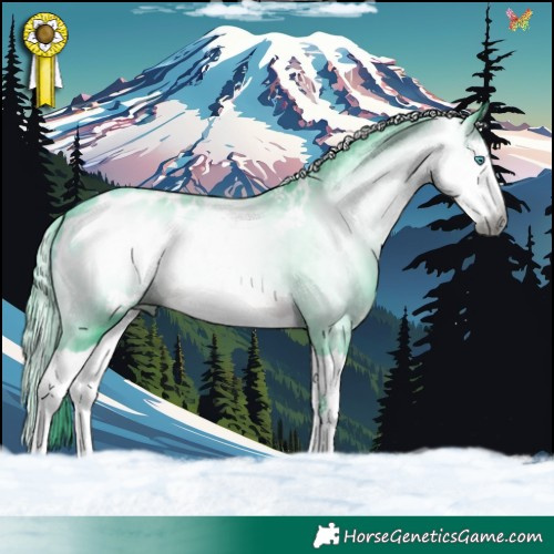 Horse Color:Gray Watercolor Brown Splash Appaloosa 