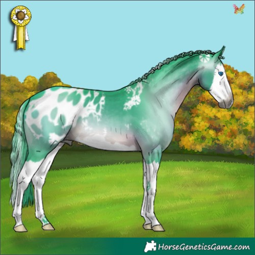 Horse Color:Gray Watercolor Brown Splash Appaloosa 