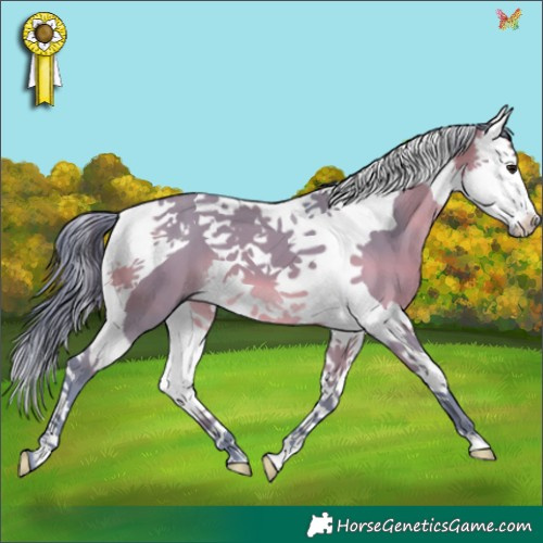 Horse Color:Watercolor Brown Dun Splash Tobiano 