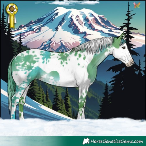 Horse Color:Watercolor Brown Dun Splash Tobiano 