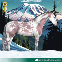 Horse Color:Watercolor Brown Dun Splash Tobiano 