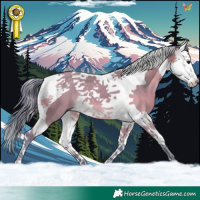 Horse Color:Watercolor Brown Dun Splash Tobiano 