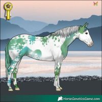 Horse Color:Watercolor Brown Dun Splash Tobiano