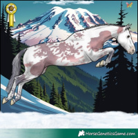 Horse Color:Watercolor Brown Dun Splash Tobiano 