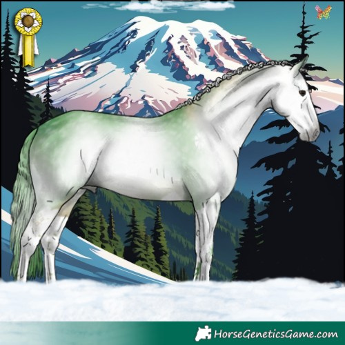 Horse Color:Gray Watercolor Buckskin Splash 
