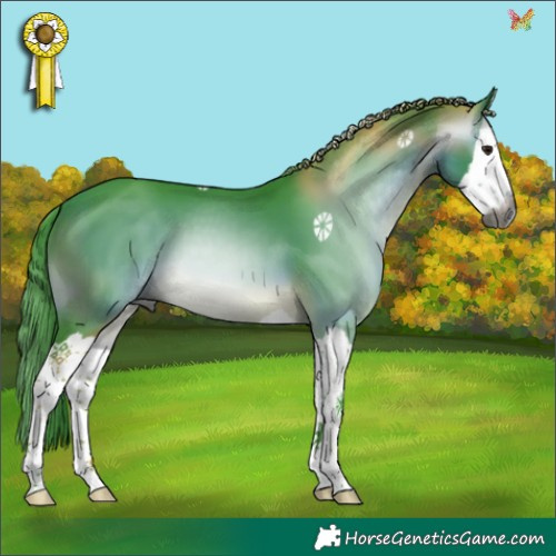 Horse Color:Gray Watercolor Buckskin Splash 