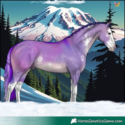 Horse Color:Watercolor Brown Dun Sabino Splash 