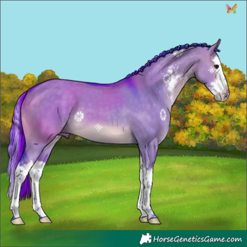 Horse Color:Watercolor Brown Dun Sabino Splash 