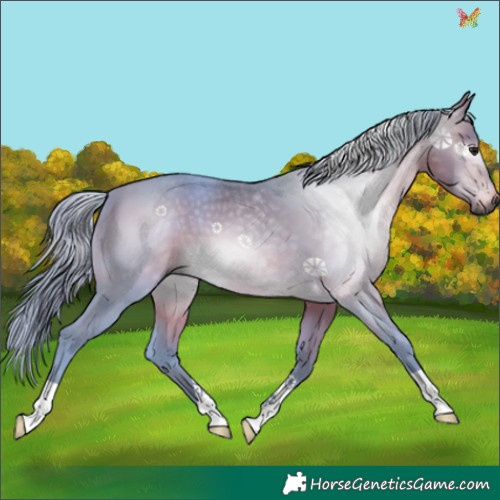 Horse Color:Gray Watercolor Buckskin 