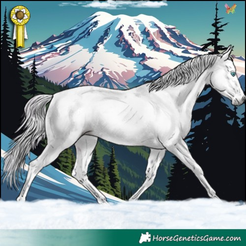 Horse Color:Gray Watercolor Brown Splash Tobiano Leopard 