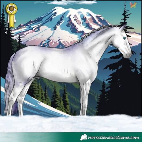 Horse Color:Gray Watercolor Brown Sabino Splash 