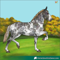 Horse Color:Watercolor Midnight Liver Red Onyx Ice Sabino