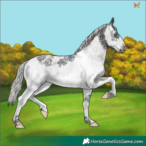 Horse Color:Watercolor Plaid  Midnight Silver Brown Sabino Splash Frame 