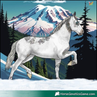 Horse Color:Watercolor Plaid Midnight Silver Brown Sabino Splash Frame