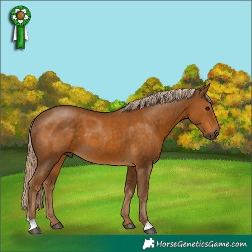 Horse Color:Gray Palomino 