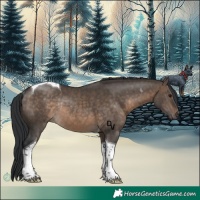 Horse Color:Brown Dun Tobiano Rabicano