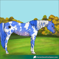 Horse Color:Watercolor White Spotted Brown 