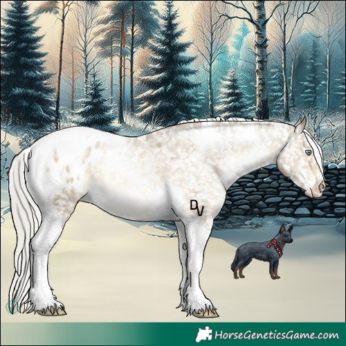 Horse Color:Silver Buckskin Pearl Mushroom Tobiano Blanket 