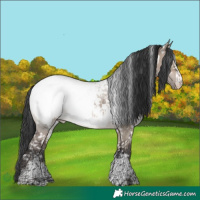 Horse Color:White Spotted Brown Dun Sabino Snowcap 