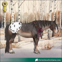 Horse Color:Liver Chestnut Splash Tobiano Appaloosa