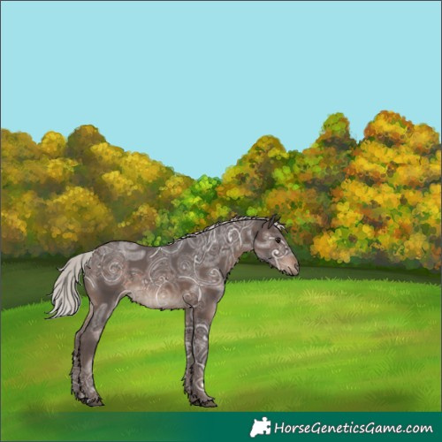 Horse Color:Silver Brown Ice 