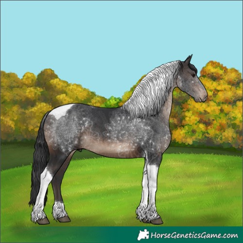 Horse Color:Brown Tobiano 