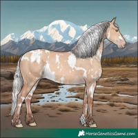 Horse Color:White Spotted Silver Sable Champagne Dun