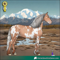 Horse Color:White Spotted Silver Sable Champagne 