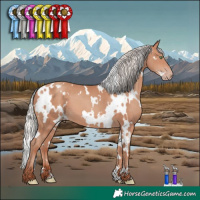 Horse Color:White Spotted Silver Sable Champagne 