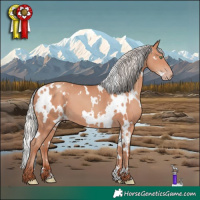 Horse Color:White Spotted Silver Sable Champagne
