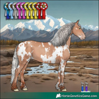 Horse Color:White Spotted Silver Sable Champagne