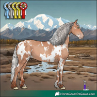 Horse Color:White Spotted Silver Sable Champagne 