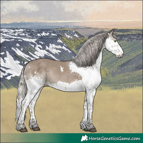 Horse Color:White Spotted Silver Grullo Splash Tobiano 