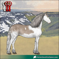 Horse Color:White Spotted Silver Grullo Splash Tobiano 