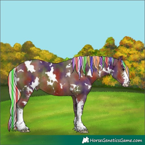 Horse Color:Painted Nacre White Spotted Silver Brown Sabino Rabicano 