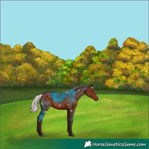Horse Color:White Spotted Silver Brown 