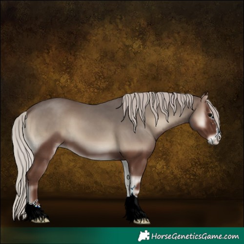 Horse Color:Silver Blue Onyx 