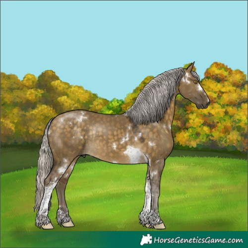 Horse Color:White Spotted Silver Buckskin Dun Tobiano Rabicano 