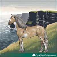 Horse Color:White Spotted Silver Buckskin Dun Tobiano Rabicano 