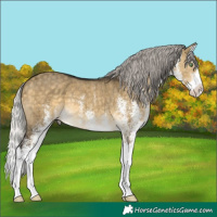 Horse Color:White Spotted Silver Buckskin Dun Splash Brindle