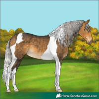 Horse Color:Silver Buckskin Mushroom Tobiano