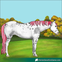 Horse Color:Painted Silver Blue Onyx Chinchilla Splash Tobiano 
