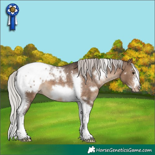 Horse Color:White Spotted Silver Brown Dun Tobiano Frame Appaloosa 