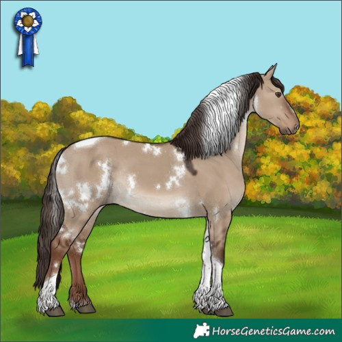 Horse Color:White Spotted Liver Red Dun Tobiano Rabicano 