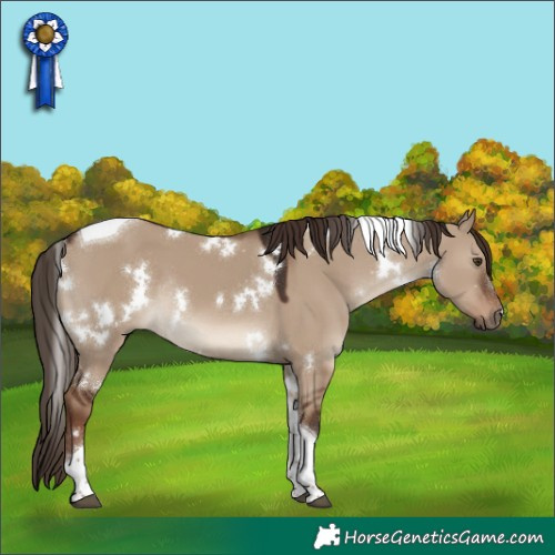 Horse Color:White Spotted Liver Red Dun Tobiano Rabicano 