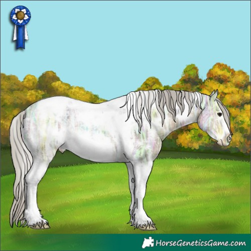 Horse Color:White Spotted Silver Smoky Grullo Ice Tobiano Frame Appaloosa 