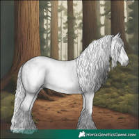 Horse Color:Gray White Spotted Black and Gray White Spotted Black Blanket