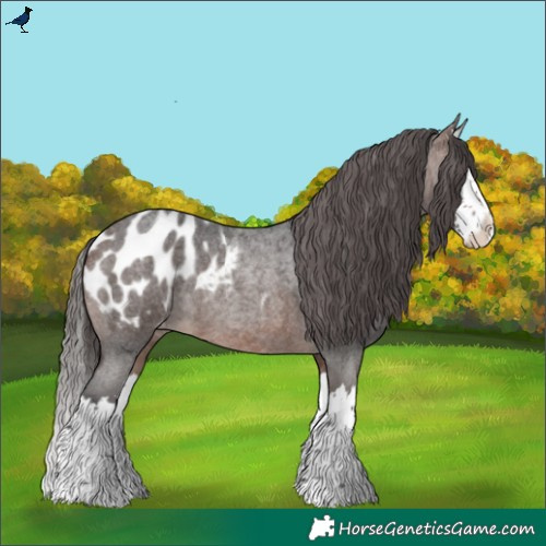 Horse Color:Brown Roan Sabino Splash Blanket Rabicano