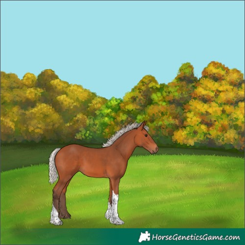 Horse Color:Silver Bay Tobiano Rabicano 